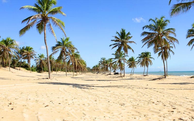 Praia do Futuro ou Beira Mar: qual escolher?