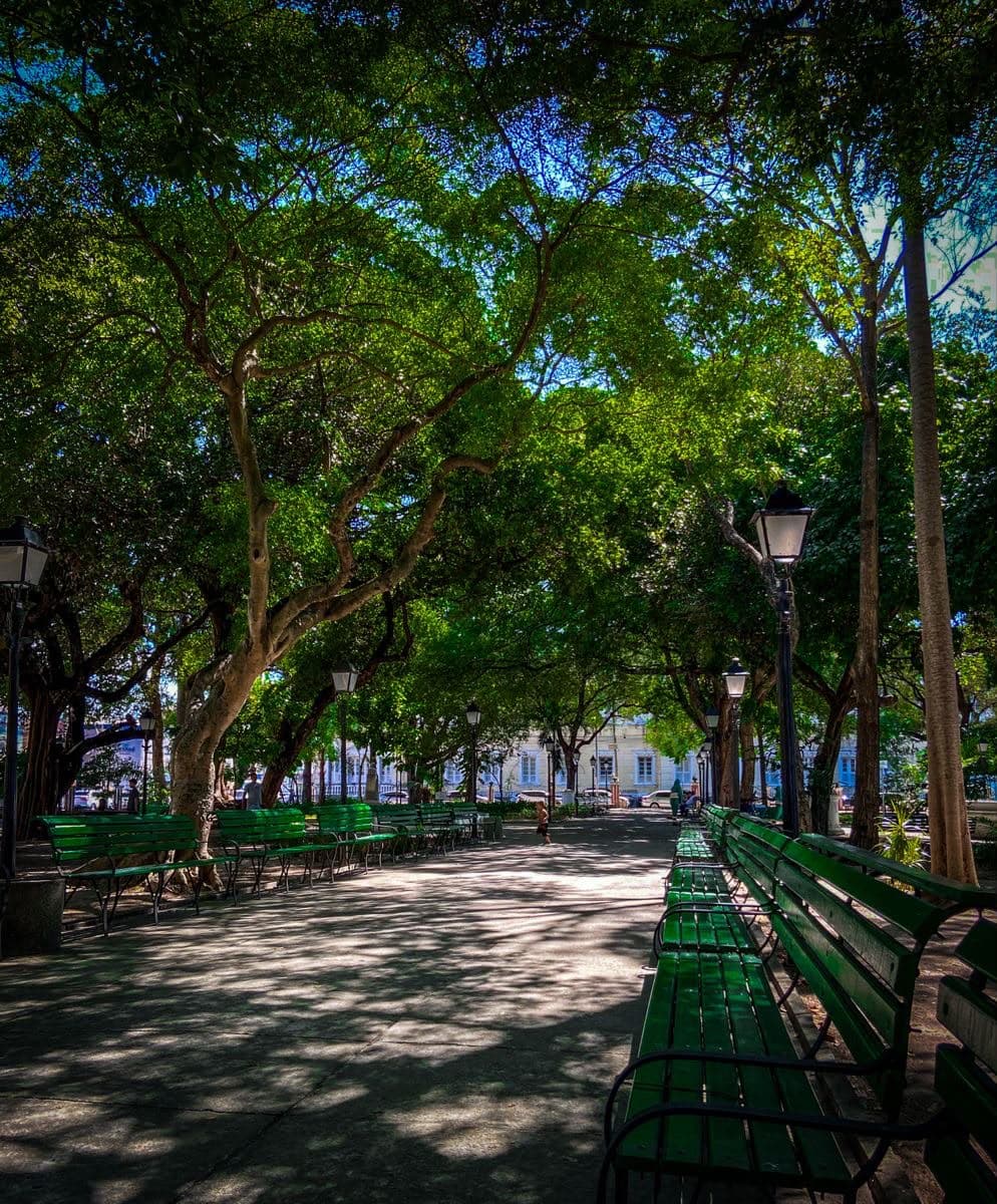 O que fazer em Fortaleza sem pagar? Descubra 7 atrações gratuitas