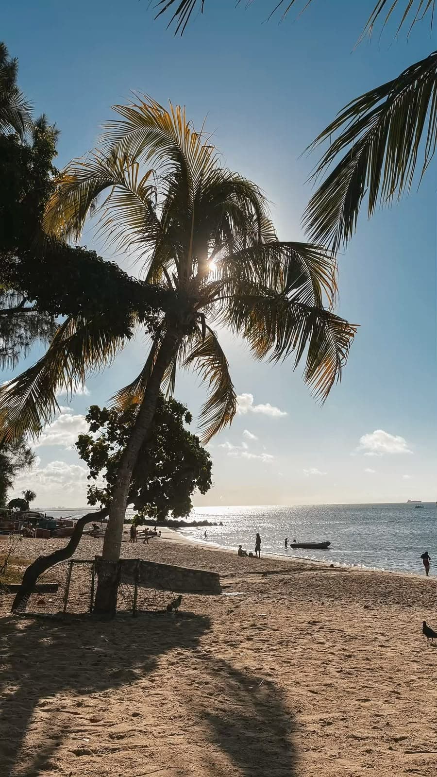 Fortaleza ou Jericoacoara: qual combina mais com você?